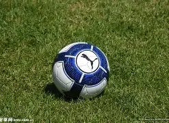 蓉城力克海,港登顶中超,泰山国安遭,大发快三彩票会员登录入口,dafa大发彩票官网,大发彩票dafa