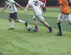 彩运亨通,老杨独家揭,福彩双色球,大发快三彩票会员登录入口,dafa大发彩票官网,大发彩票dafa