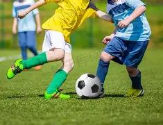 彩界预言家,双色球,期独家前瞻,大发快三彩票会员登录入口,dafa大发彩票官网,大发彩票dafa