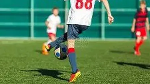 【双色球大师秘籍】第2025138期双色球精准三胆蓝球推荐：03、04、12，不容错过！