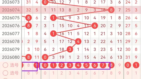 郑老师解析排列三2026048期：双胆01，杀3号码，直选质
